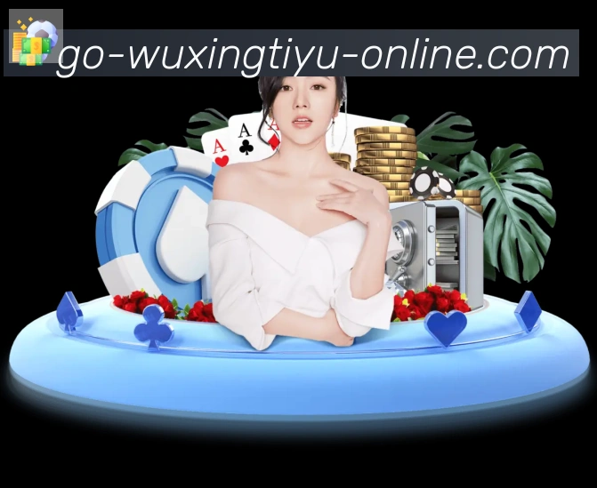 未来规划